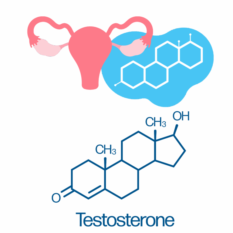 Illustration of female reproductive system with estrogen and testosterone molecule structures, used to explain hormone replacement therapy at Fleur-De-Lis Aesthetics in New Orleans.